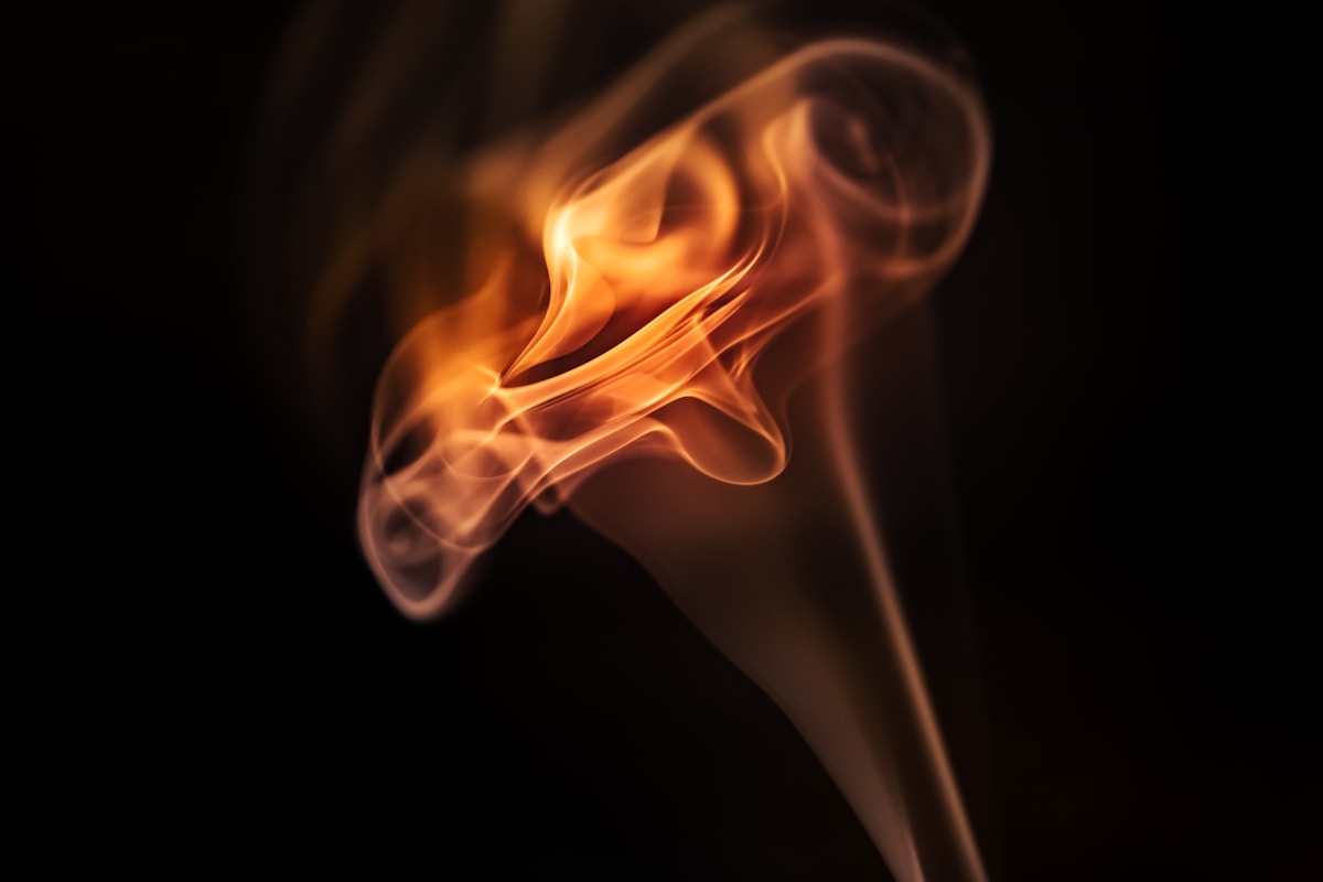 The Art of Cigar Rolling